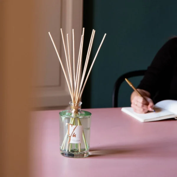 verde lorena_difuzer_teatro_WebP verde lorena_difuzer_teatro_WebP